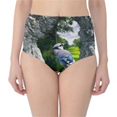 Bird In The Tree High-waist Bikini Bottoms by infloence