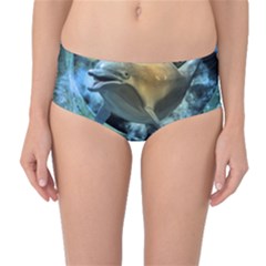 Funny Dolphin In The Universe Mid-waist Bikini Bottoms by FantasyWorld7