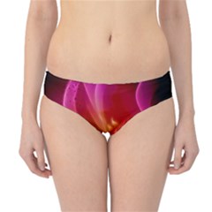 Awesome F?owers With Glowing Lines Hipster Bikini Bottoms by FantasyWorld7