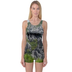 Stone Forest 1 One Piece Boyleg Swimsuit by trendistuff