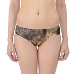 Carlsbad Caverns Hipster Bikini Bottoms by trendistuff