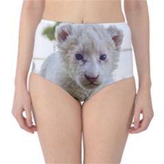 White Lion Cub High-waist Bikini Bottoms by trendistuff