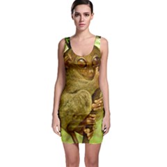 Tarsier Bodycon Dresses by trendistuff