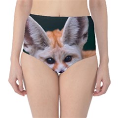 Baby Fox High-waist Bikini Bottoms by trendistuff