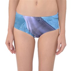 Dolphin 2 Mid-waist Bikini Bottoms by trendistuff