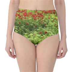 Poppy V High-waist Bikini Bottoms by colorfulartwork