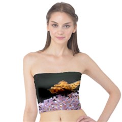 Butterfly Sitting On Flowers Tube Top by picsaspassion
