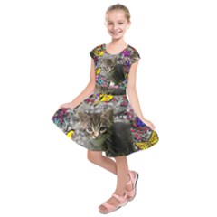 Emma In Butterflies I, Gray Tabby Kitten Kids  Short Sleeve Dress by DianeClancy