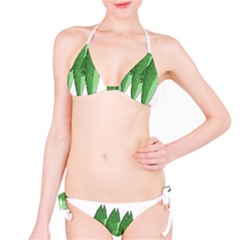 Mackerel - Green Bikini Set by Valentinaart