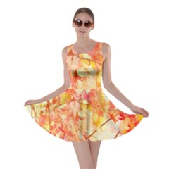 Monotype Art Pattern Leaves Colored Autumn Skater Dress by Amaryn4rt