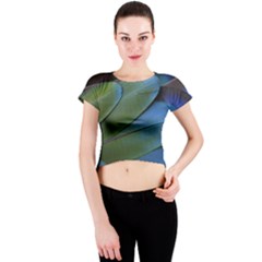 Feather Parrot Colorful Metalic Crew Neck Crop Top by Amaryn4rt