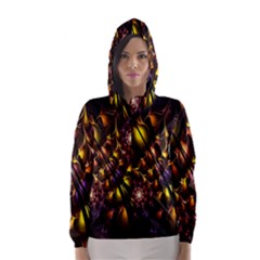 Art Design Image Oily Spirals Texture Hooded Wind Breaker (women)