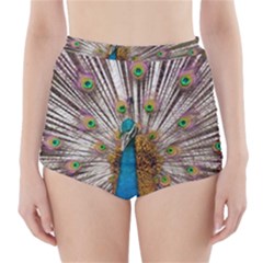 Indian Peacock Plumage High-waisted Bikini Bottoms by Simbadda