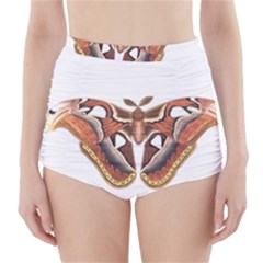 Butterfly Animal Insect Isolated High-waisted Bikini Bottoms by Simbadda