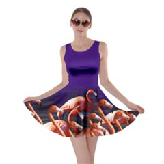 Walking In Dark Flamingo V2 Skater Dress by CoolDesigns