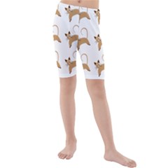 Cute Cats Seamless Wallpaper Background Pattern Kids  Mid Length Swim Shorts by Nexatart