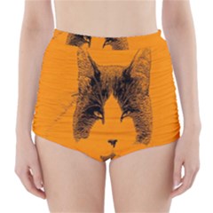 Cat Graphic Art High-waisted Bikini Bottoms by Nexatart