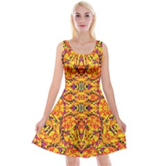 Colorful Vibrant Ornate Reversible Velvet Sleeveless Dress by dflcprintsclothing
