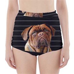 Bed Dog High-waisted Bikini Bottoms by Valentinaart