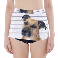 Bad Dog High-waisted Bikini Bottoms by Valentinaart