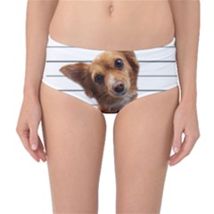 Bad Dog Mid-waist Bikini Bottoms by Valentinaart