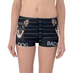 Bad Dog Boyleg Bikini Bottoms