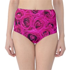 Pink Roses Roses Background High-waist Bikini Bottoms by Nexatart