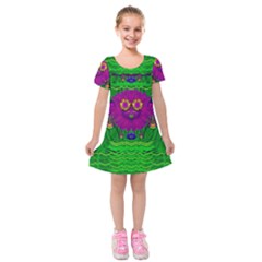 Summer Flower Girl With Pandas Dancing In The Green Kids  Short Sleeve Velvet Dress by pepitasart