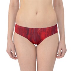 Stone Red Volcano Hipster Bikini Bottoms by Mariart