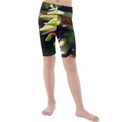 Bright Peppers Kids  Mid Length Swim Shorts by BangZart