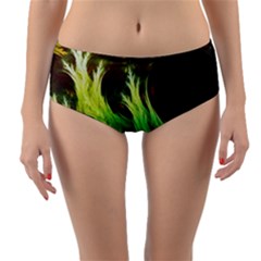 A Seaweed s Deepdream Of Faded Fractal Fall Colors Reversible Mid-waist Bikini Bottoms