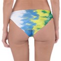 Brazil Colors Pattern Reversible Hipster Bikini Bottoms View2