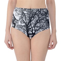 Tree Fractal High-waist Bikini Bottoms by BangZart