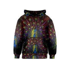 Beautiful Peacock Feather Kids  Pullover Hoodie by BangZart
