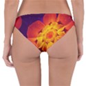 Royal Blue, Red, and Yellow Fractal Gerbera Daisy Reversible Hipster Bikini Bottoms View4
