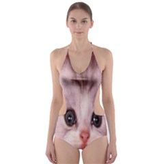 Cat  Animal  Kitten  Pet Cut-out One Piece Swimsuit by BangZart