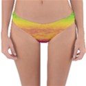 Ombre Reversible Hipster Bikini Bottoms View3