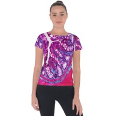 Histology Inc Histo Logistics Incorporated Masson s Trichrome Three Colour Staining Short Sleeve Sports Top  by Mariart