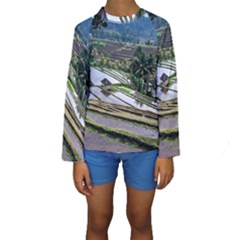 Rice Terrace Rice Fields Kids  Long Sleeve Swimwear by Nexatart