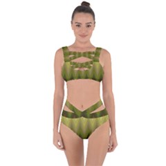 Zig Zag Chevron Classic Pattern Bandaged Up Bikini Set  by Nexatart