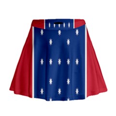 British American Flag Red Blue Star Mini Flare Skirt by Mariart