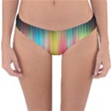 Sound Colors Rainbow Line Vertical Space Reversible Hipster Bikini Bottoms View3