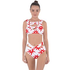 Star Figure Form Pattern Structure Bandaged Up Bikini Set  by Nexatart