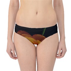 Ranunculus Yellow Orange Blossom Hipster Bikini Bottoms by Nexatart