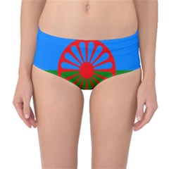 Gypsy Flag Mid-waist Bikini Bottoms by Valentinaart
