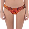 Ablaze With Beautiful Fractal Fall Colors Reversible Hipster Bikini Bottoms View3