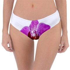Lilac Phalaenopsis Aquarel  Watercolor Art Painting Reversible Classic Bikini Bottoms by picsaspassion