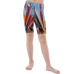 3abstractionism Kids  Mid Length Swim Shorts by NouveauDesign