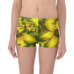 Beautiful Yellow-green Meadow Of Daffodil Flowers Boyleg Bikini Bottoms by jayaprime