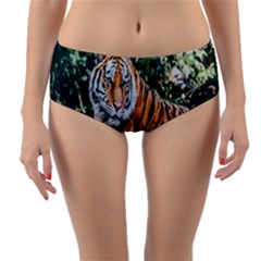 Animal Big Cat Safari Tiger Reversible Mid-waist Bikini Bottoms by Celenk